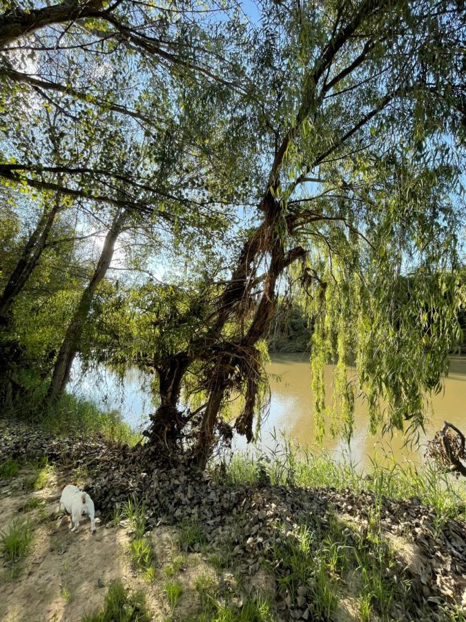 At The River Guest House Kroonstad Exterior foto